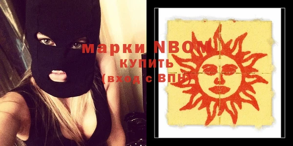 молекула духа Богородицк